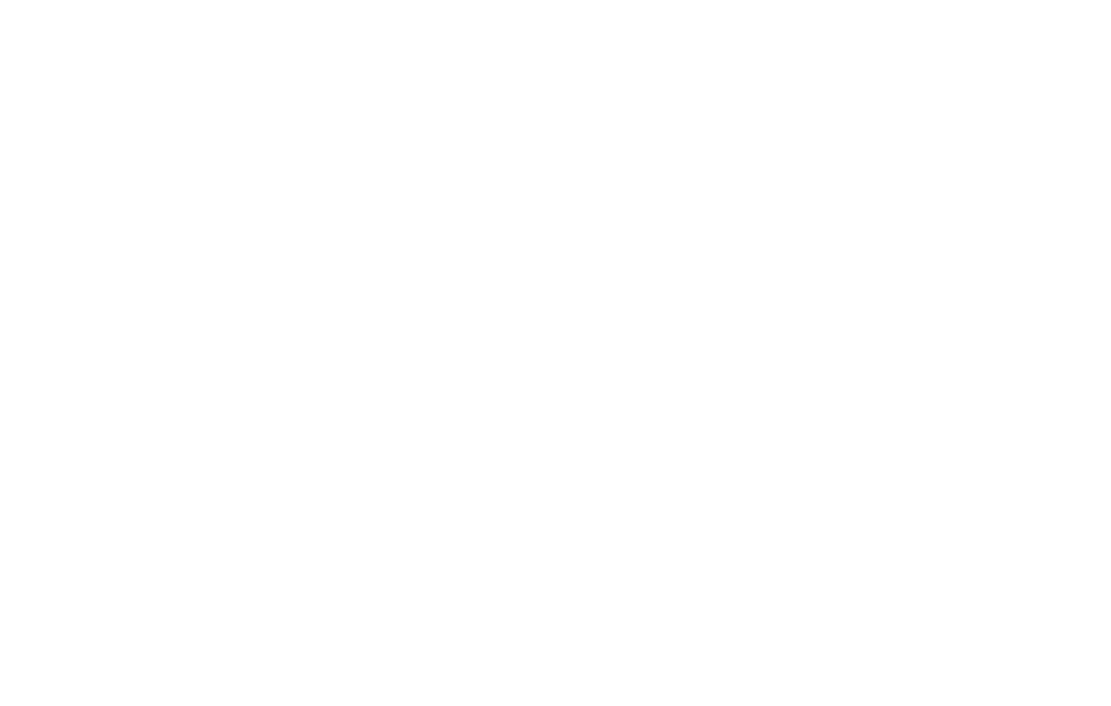 Left headlight highlight