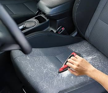 Pet hair removal specialist service